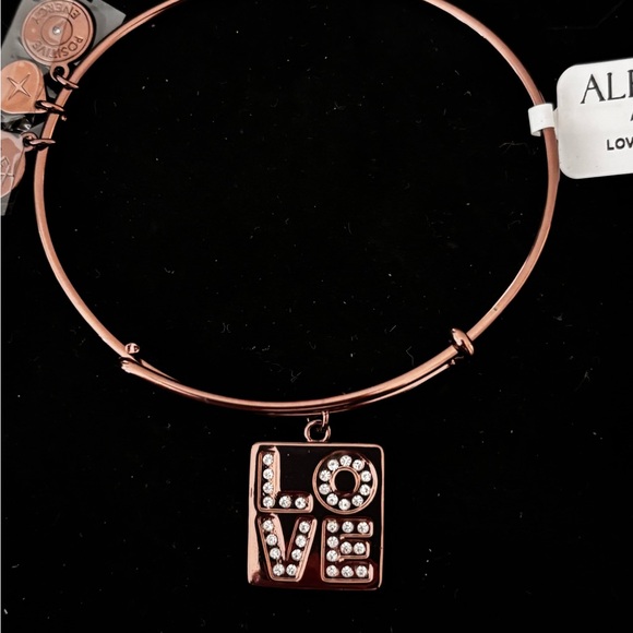 Alex and Ani CHOCOLATE SHINY FINISH Gold Love Charm Bracelet - Picture 1 of 1